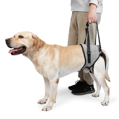 Dog Rear Leg Support Harness, Pet Lift Sling for Senior & Disabled Dogs, Adjustable Rehabilitation Aid